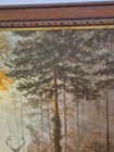 Bild 8 von 15