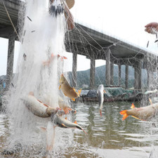 30m 6' x 100' 1-4/5' 3 Layers Monofilament Fishing Fish Gill Net with Float Best