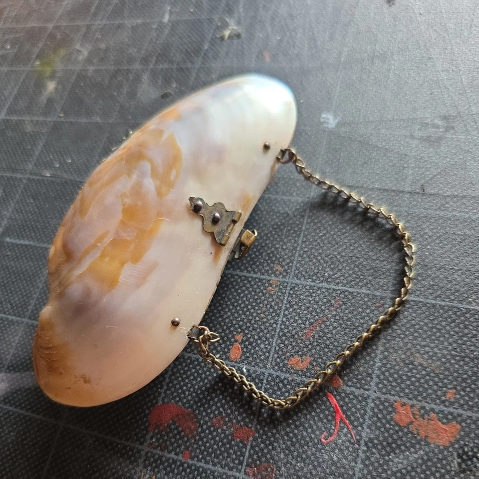 Antiguo mini monedero con caparazón de madreperla prístino interior decoración tocador Foto 2 de 4