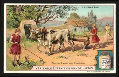 Image de collection Liebig, La Charrue, Charrue à croc des Étrusques - Photo 1/2