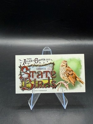 Brown Thrasher 2025 Topps Allen & Ginter Mini State Birds #SB-10