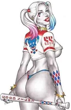 Harley Quinn sticker dc comics suicide squad weatherproof  bumper vinyl decal