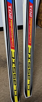 SALOMON ENDURO スキー 160cm ストック117cm SALOMON ENDURO スキー 160cm ストック117cm
