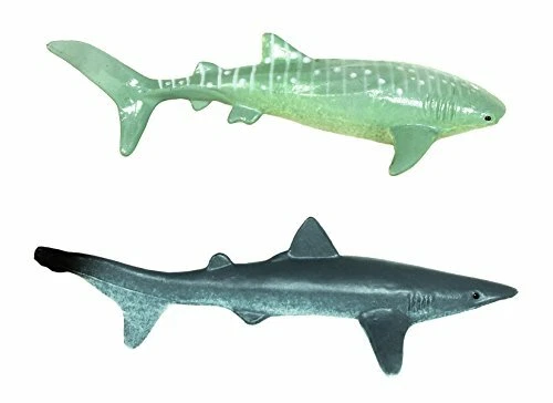 Shark toob sales
