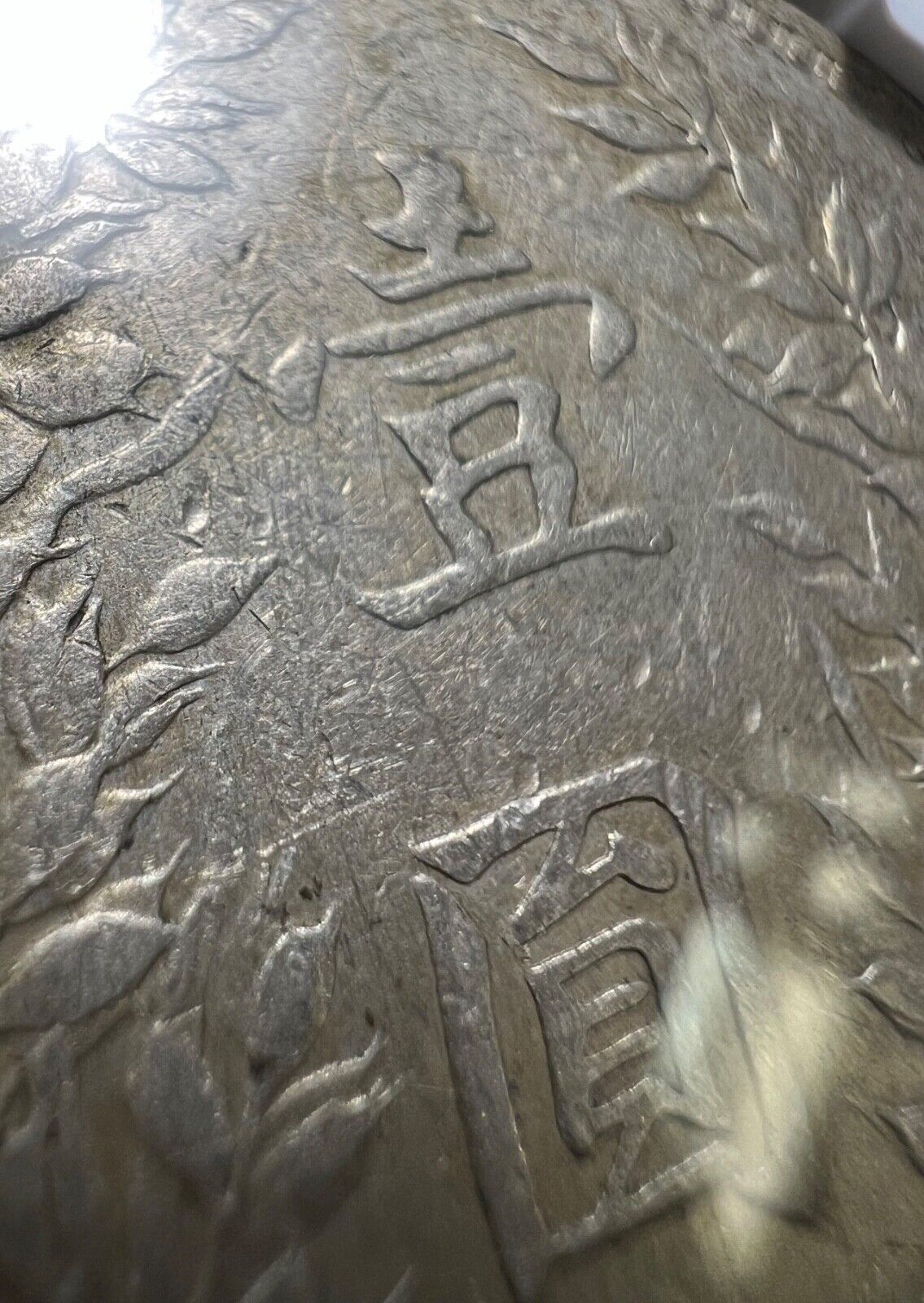 Picture 10 of 10