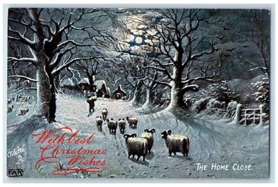 c1910 Moonlight, Sheeps Line Up, The Home Close Oilette Tuck Art Postcard