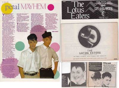THE LOTUS EATERS : CUTTINGS COLLECTION - adverts interview 