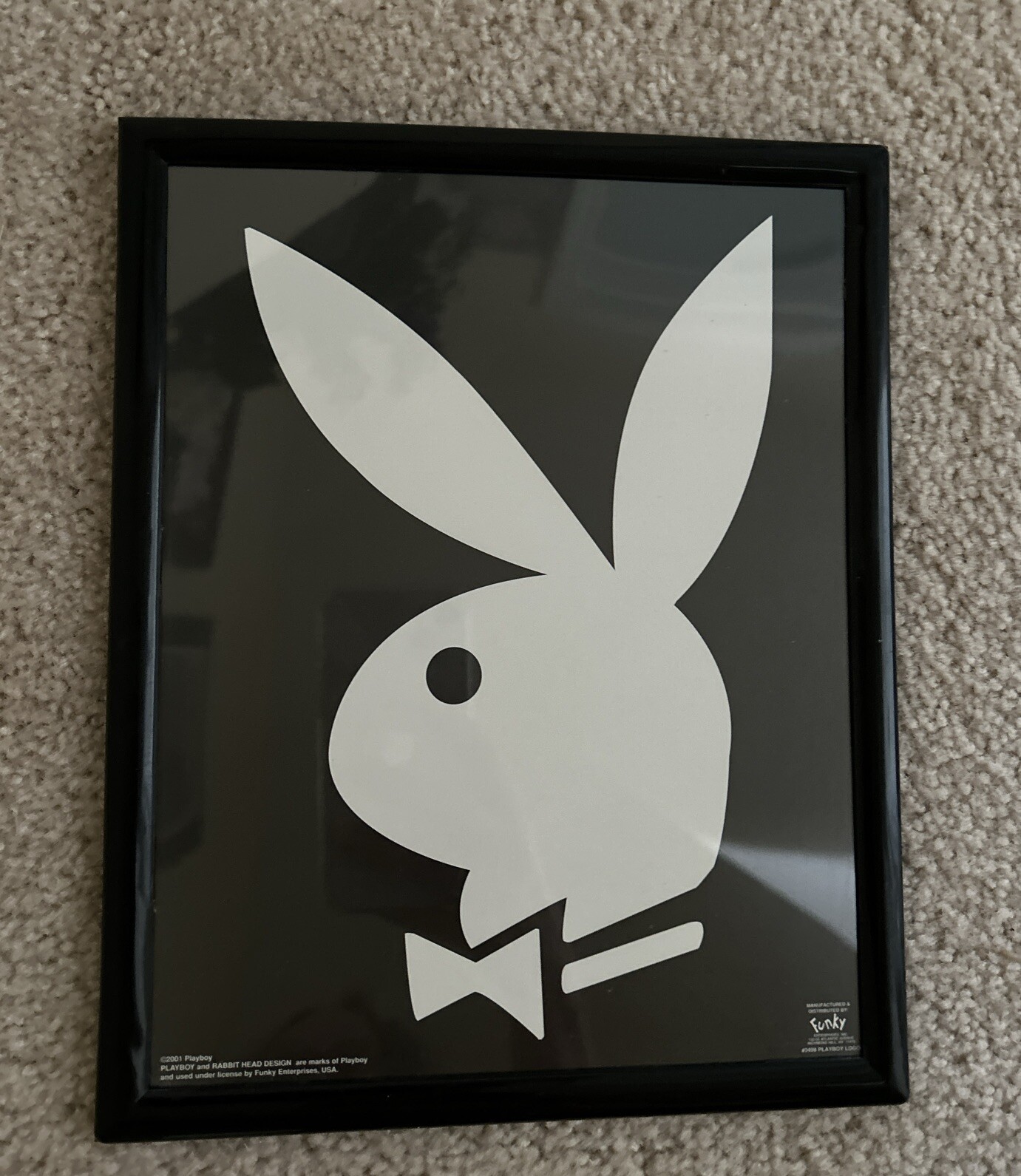 Picture 5 of 6