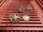 Vintage Order Of The Eastern Star Screw-back Earrings And Brooch Set — photo 5