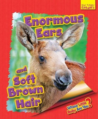 Whose Little Baby Are You? Enormous Ears and Soft Brown Hair by Ellen Lawrence P