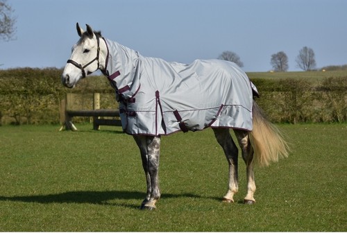 Alfombra de caballo ligera sin relleno 600D estándar y combo cuello impermeable - Imagen 27 de 38