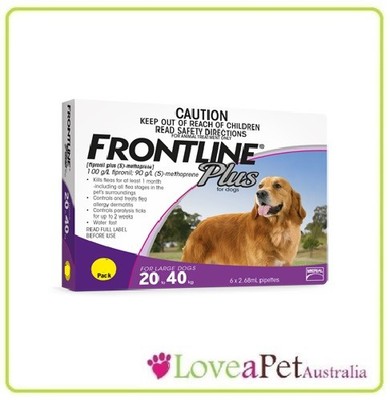 ebay frontline for dogs