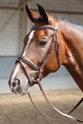 HARRY'S HORSE % Harry´s Horse Trense Soft braun/cognac gepolstert UVP €69,95 %