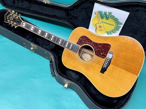 GUILD D-55 NT (no260728)