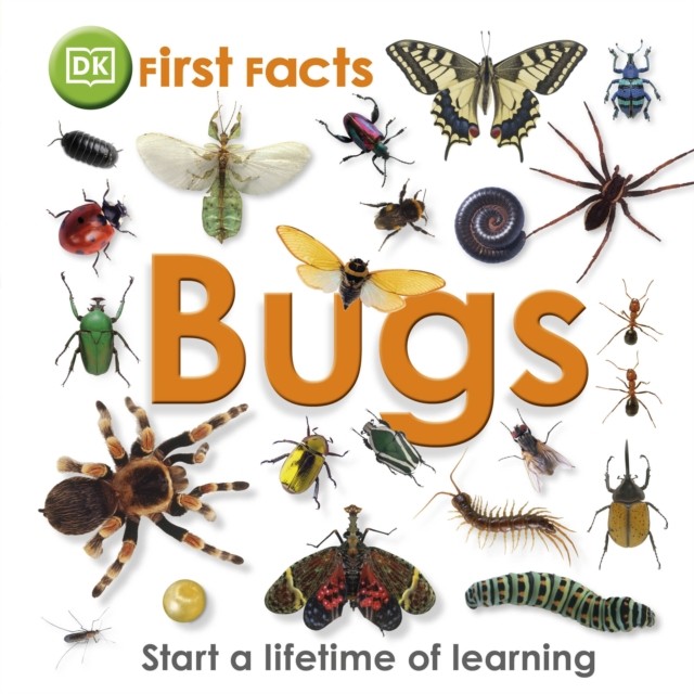 First Facts Bugs by DK (Hardback Book)