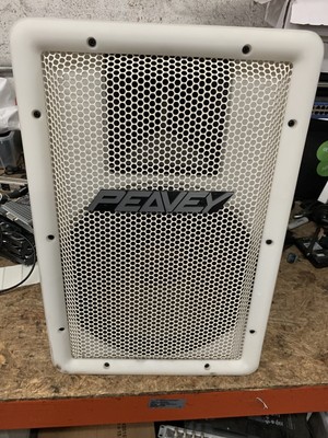 ebay peavey t 300 speakers