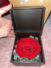 Field Of Flowers preserved real flowers