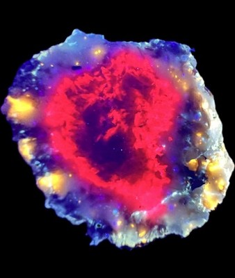Corundum in Scapolite from Rose Road, St. Lawrence County, NY