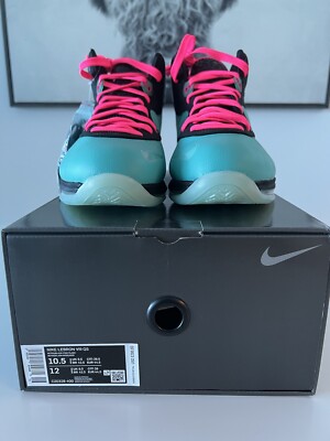 lebron south beach 10.5