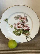 Vintage Hand Painted Haviland Style Dinner Plate Pink Floral• Scallop • PRETTY