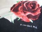 Picture 12 of 26