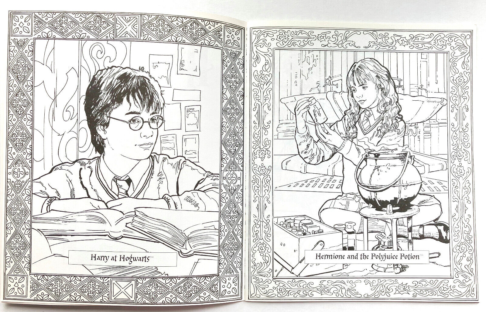 Hermione and the Polyjuice Potion, Harry Potter Coloring Book : r/Coloring
