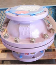 Flowserve Check Valve ARV2 0002023 5"