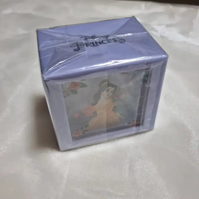 Disney Music Box Beauty and the Beast (Wadiz Funding)