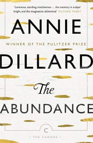 The Abundance by Annie Dillard (Paperback Book) - Image 8