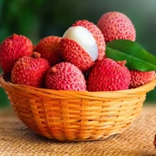 10pcs Lychee Tropical Fruit Heirloom Seeds - Non-GMO Litchi Seed for Gardening