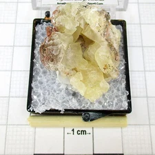 10958 TN Calcite Burnt Cabin Creek Spray Wheeler County Oregon USA 8034