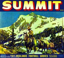 Redlands San Bernardino Summit Orange Citrus Fruit Crate Label Print