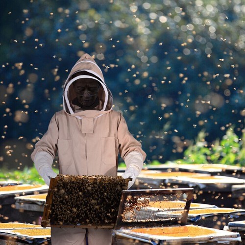XXL Full Body Anti-bee Suit Cotton Beekeeping Clothing w/Veil Hood&Gloves Unisex - Picture 9 of 11