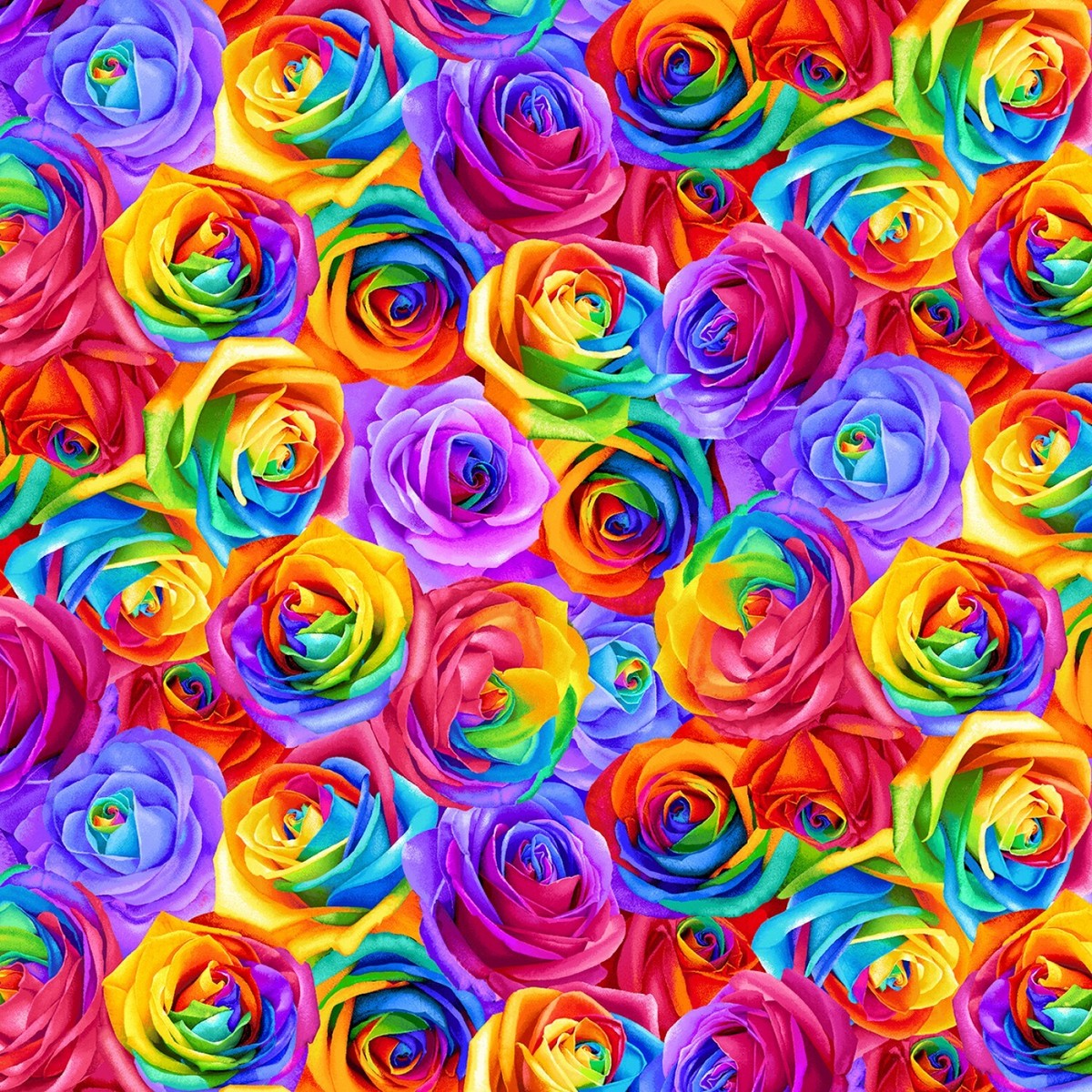 Rose Fabric BTY Rainbow Packed Rainbow Roses CD8949