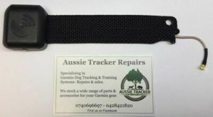 einstein mini educator