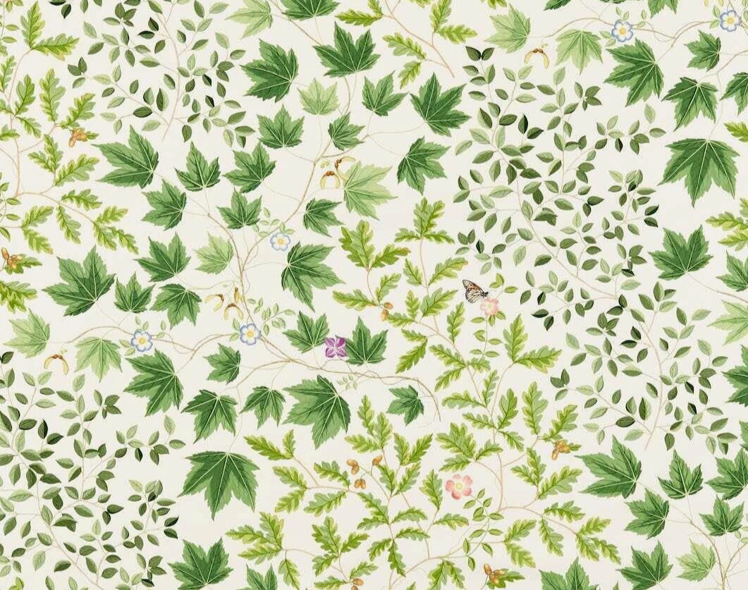 SANDERSON CURTAIN FABRIC Sycamore & Oak 2.4 MT BOTANICAL GREEN 100% COTTON SATIN