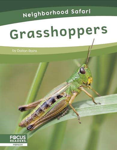 Grasshoppers Dalton Rains - Image 2