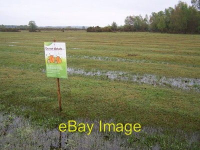Photo 6x4 Let's hope they can swim Sign warning of ground nesting birds o c2012