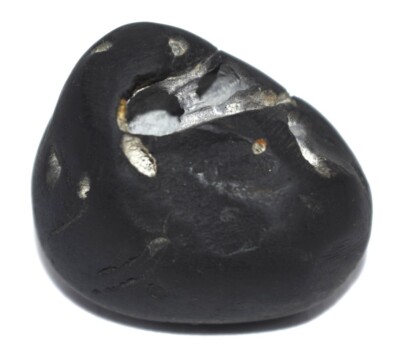 Pattabhi Rama Shaligram / ChatushChakra Pattabhi Rama Salagram - Gandaki River