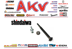 Motosega shindaiwa 269ts