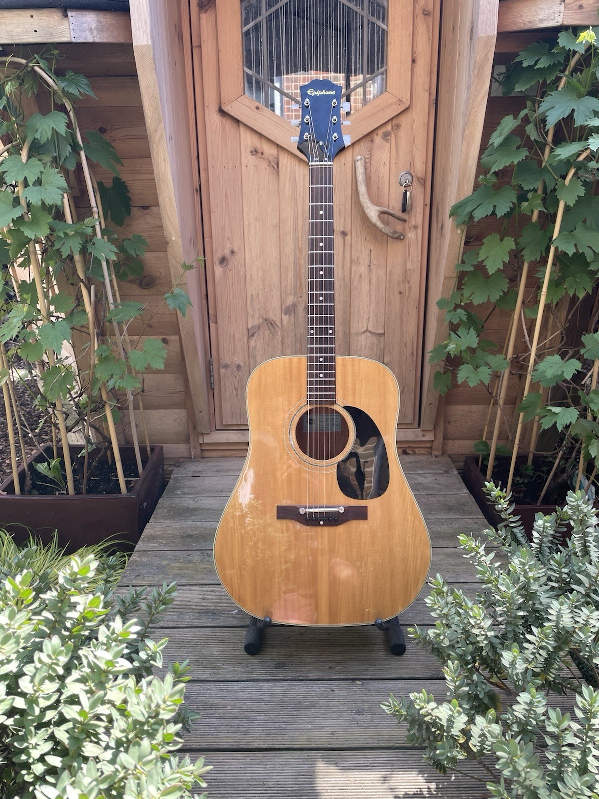 Epiphone 6730 MIJ - Acoustic Guitar - incl case??