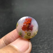 Tiny Scenic Moss Agate Cabochon 16.5x16.5x5mm High Quality 10.5 ct
