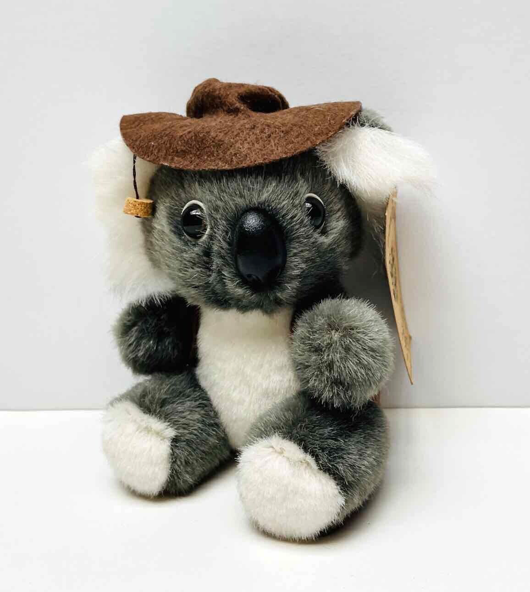 Evil Koala Bear Koala Facts And Statistics | IFAW