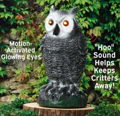 Owl Sounds to Scare Birds 