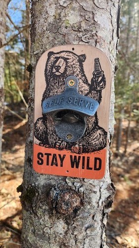 Open Road Brands Rustic Die Cut "Stay Wild" Decor Bottle Opener, Wood/Metal - Picture 2 of 7