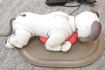 SONY Aibo ERS-1000 Main Unit Dog Shaped Virtual Pet Robot JAPAN JP