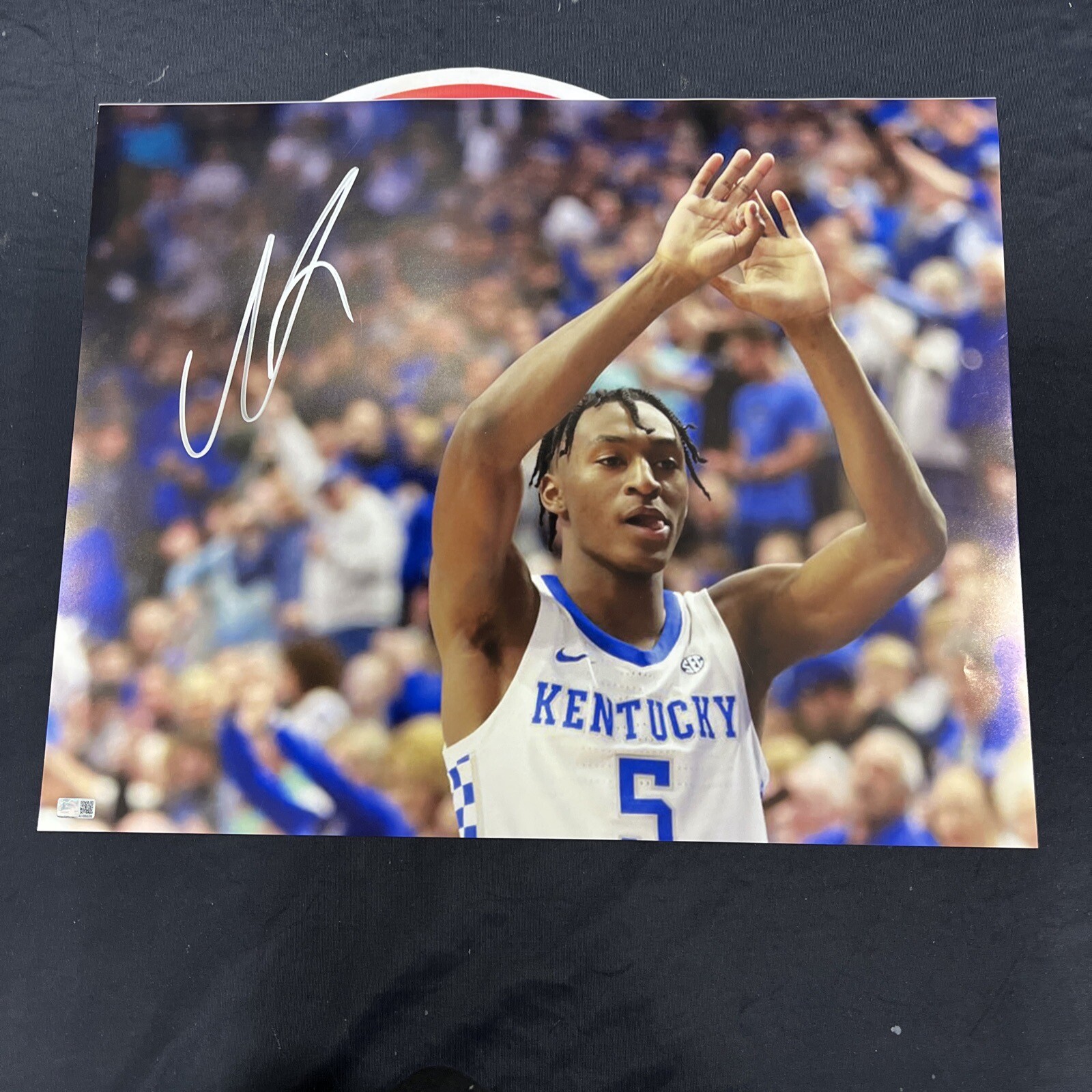 Immanuel Quickley Autographed Signed Kentucky Wildcats 16X20 Steiner CX 