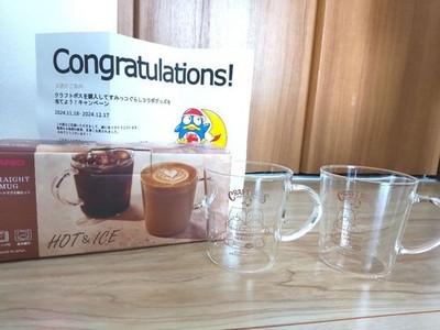 HARIO Straight Mug 2 Pack Set Hot Cold Microwave Dishwasher Safe Glass