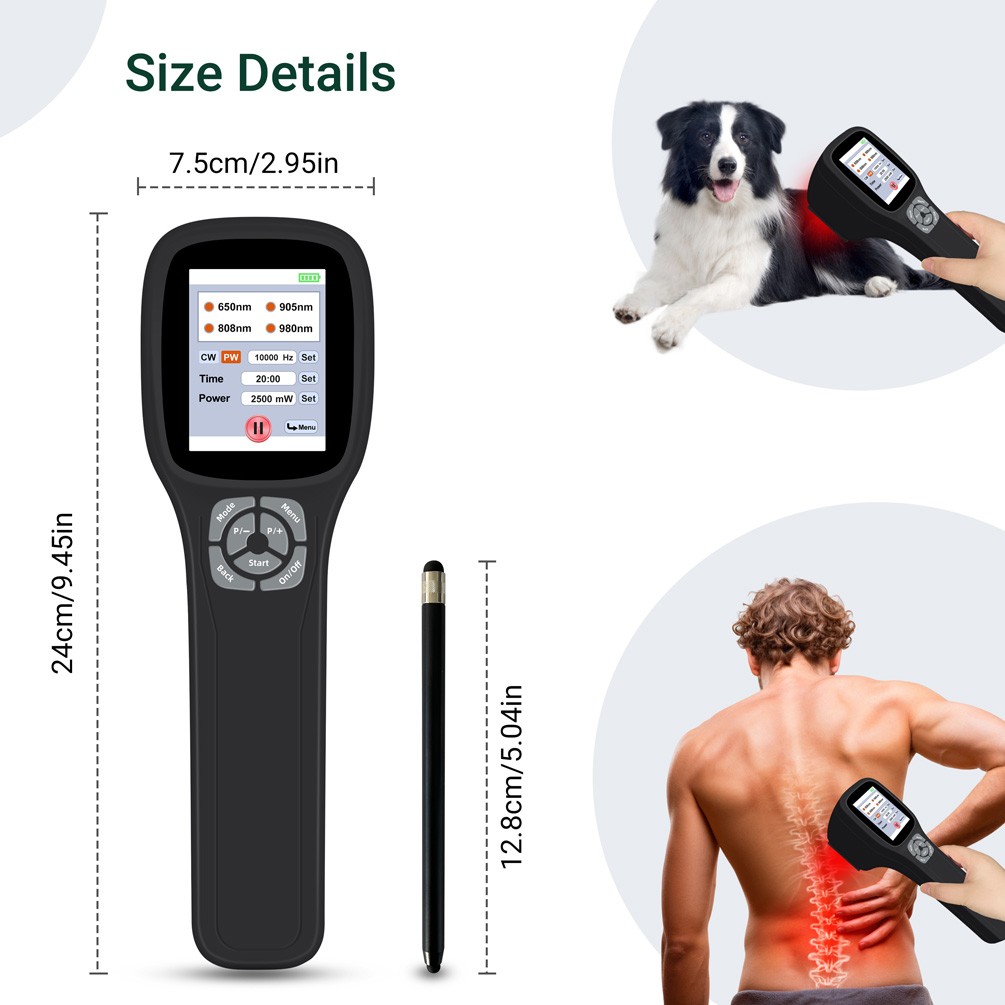 Cold Laser Treatment for Reduce Swelling Pain and Inflammation in Pets and Human