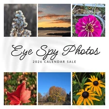 2 For $30 Photo Calendar Special